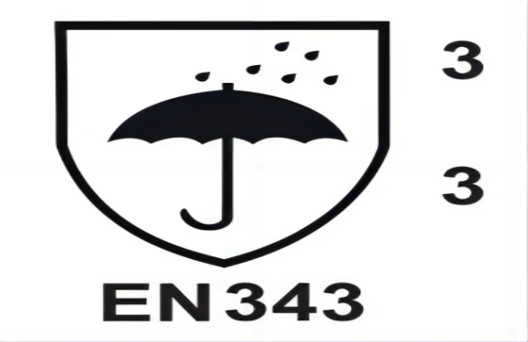 EN343